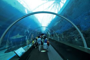 Wisata Hiburan di Singapura : S.E.A Aquarium @Marine Life ParkWisata Hiburan di Singapura : S.E.A Aquarium @Marine Life Park
