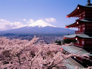 Travel Tips dan Trik Ke Jepang ala Backpacker